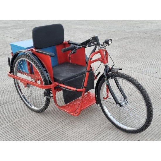 Handicapped tricycle battery on sale